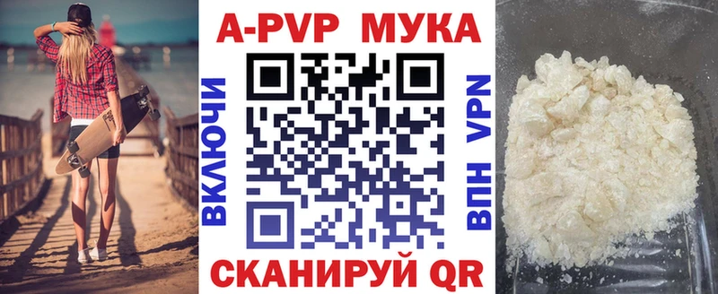 Альфа ПВП СК КРИС  Курильск 