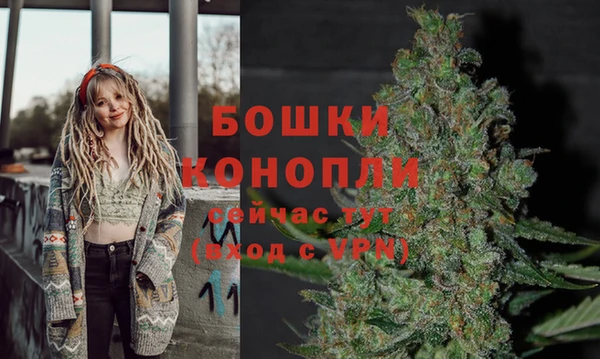 сатива Елабуга