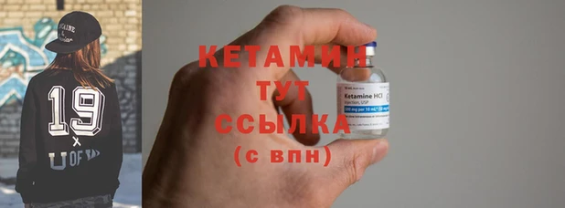 прущие грибы Каменка
