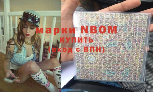 гашик Зеленокумск
