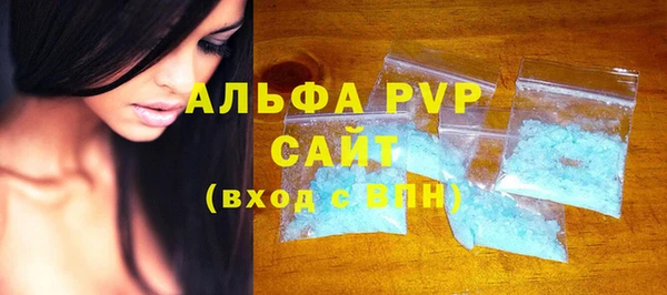 гашик Зеленокумск