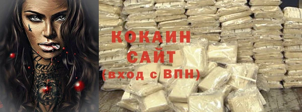гашик Зеленокумск