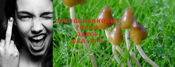 мет Иннополис