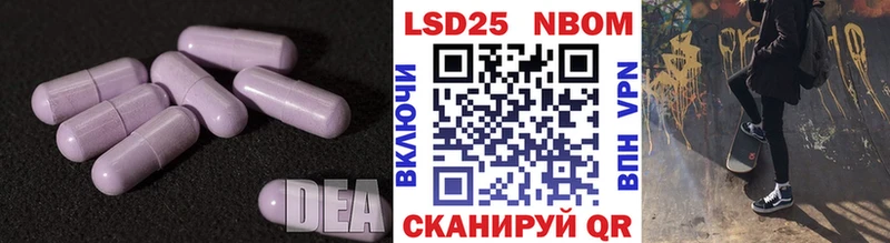 купить наркоту  mega ссылки  LSD-25 экстази кислота  Курильск 