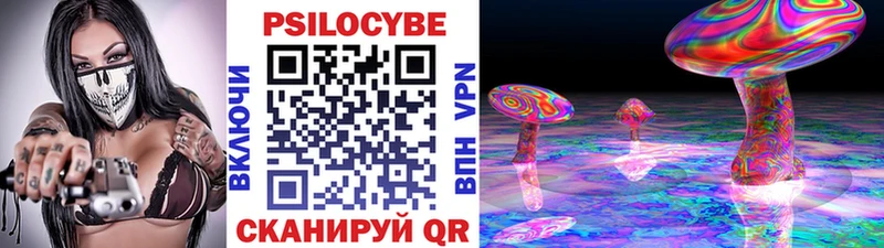 Галлюциногенные грибы Magic Shrooms  Курильск 